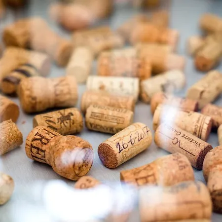 Front Apartment-1st Line 公寓