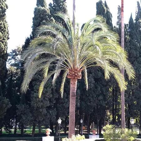 Front Apartment-1st Line Daire Marbella